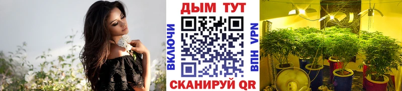 Купить закладку Краснообск Каннабис  COCAIN  Alpha PVP  Гашиш 