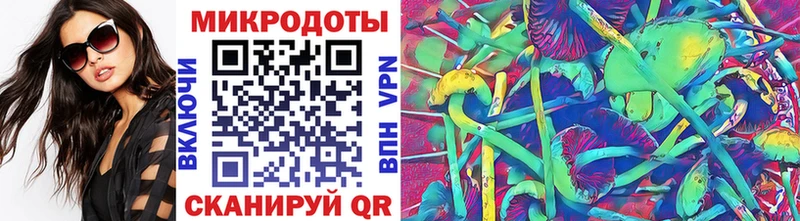 Псилоцибиновые грибы Psilocybe  Краснообск 